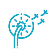 details2-2 details2-2